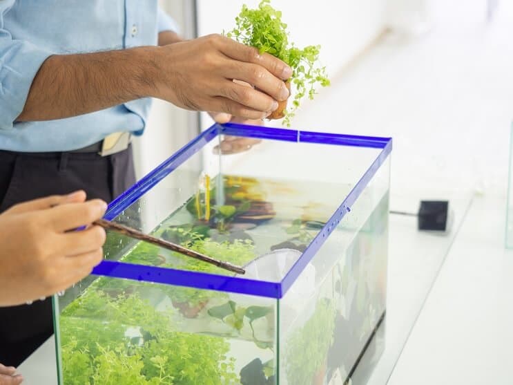 10 gallon tartály