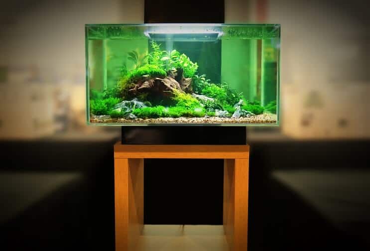 30 gallon tartály felszerelés