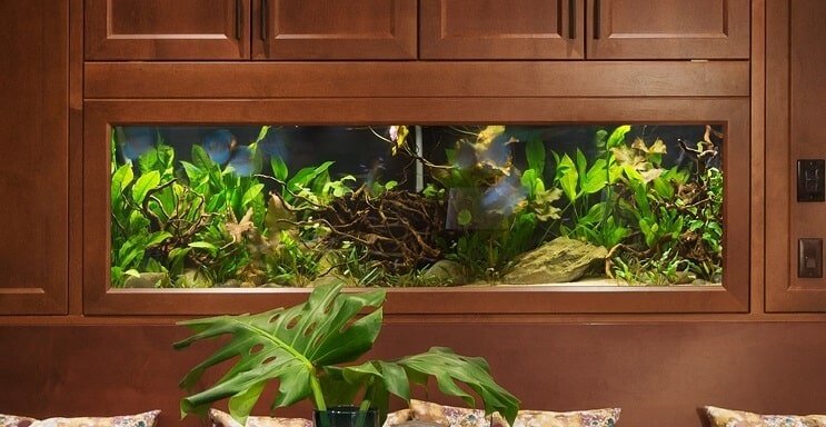 40 gallon akvárium