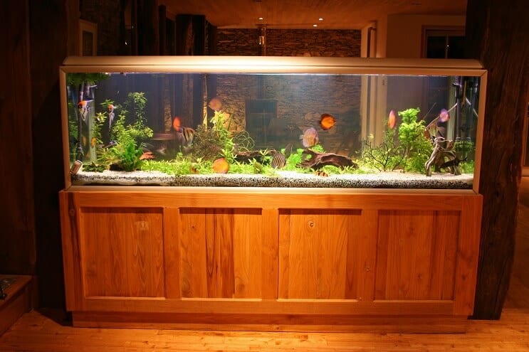 55 gallon tartály