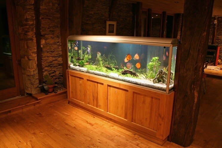 Discus Tank UV sterilizáló