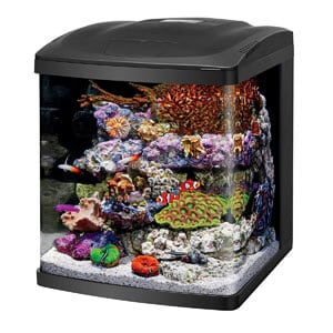 A legjobb prémium 15 gallon tartály