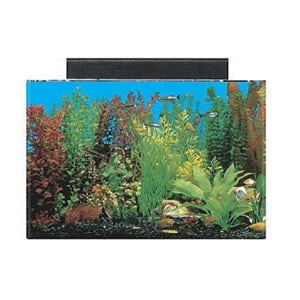 A legjobb 20 gallon akvárium