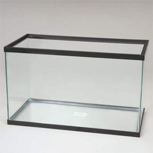 A legolcsóbb 20 gallon akvárium