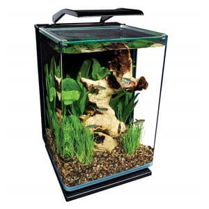 Legolcsóbb 5 gallon akvárium