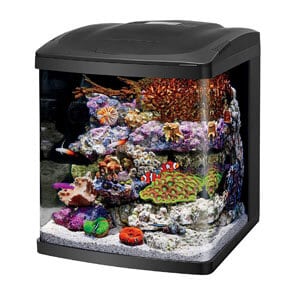 Coralife Nano Cube haltartály