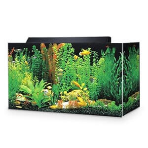 30 gallon Seaclear akril akvárium