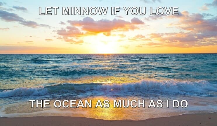 Hadd Minnow