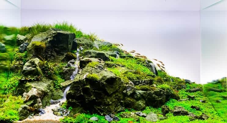 Aquascape akvárium